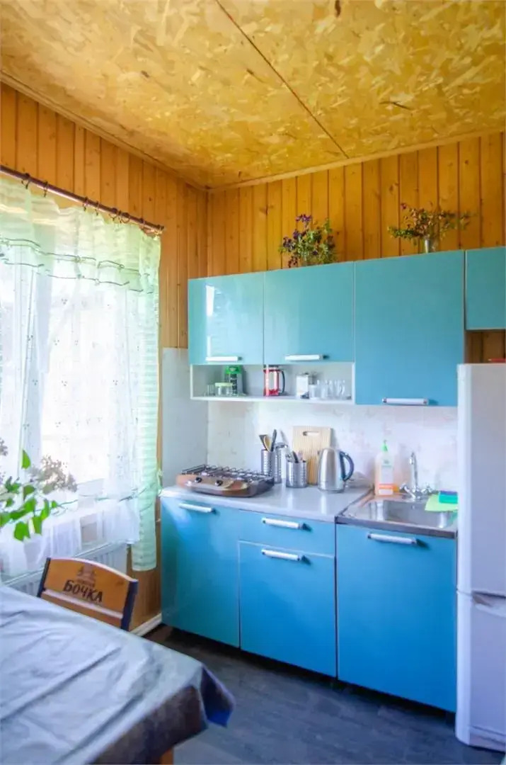 Селигер Виледж