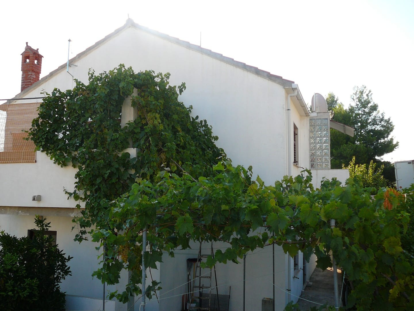 Apartment Soni - with barbecue; A1 Postira, Island Brac