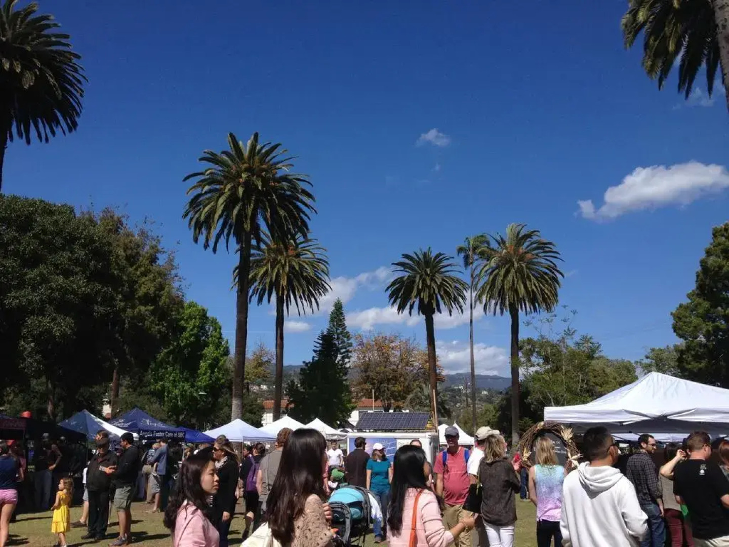 IHSP Hostel Santa Barbara