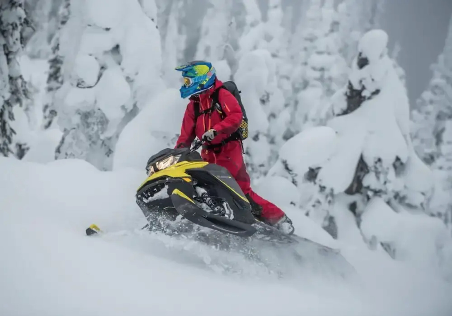 The Aspen Moose Vacation Cabin