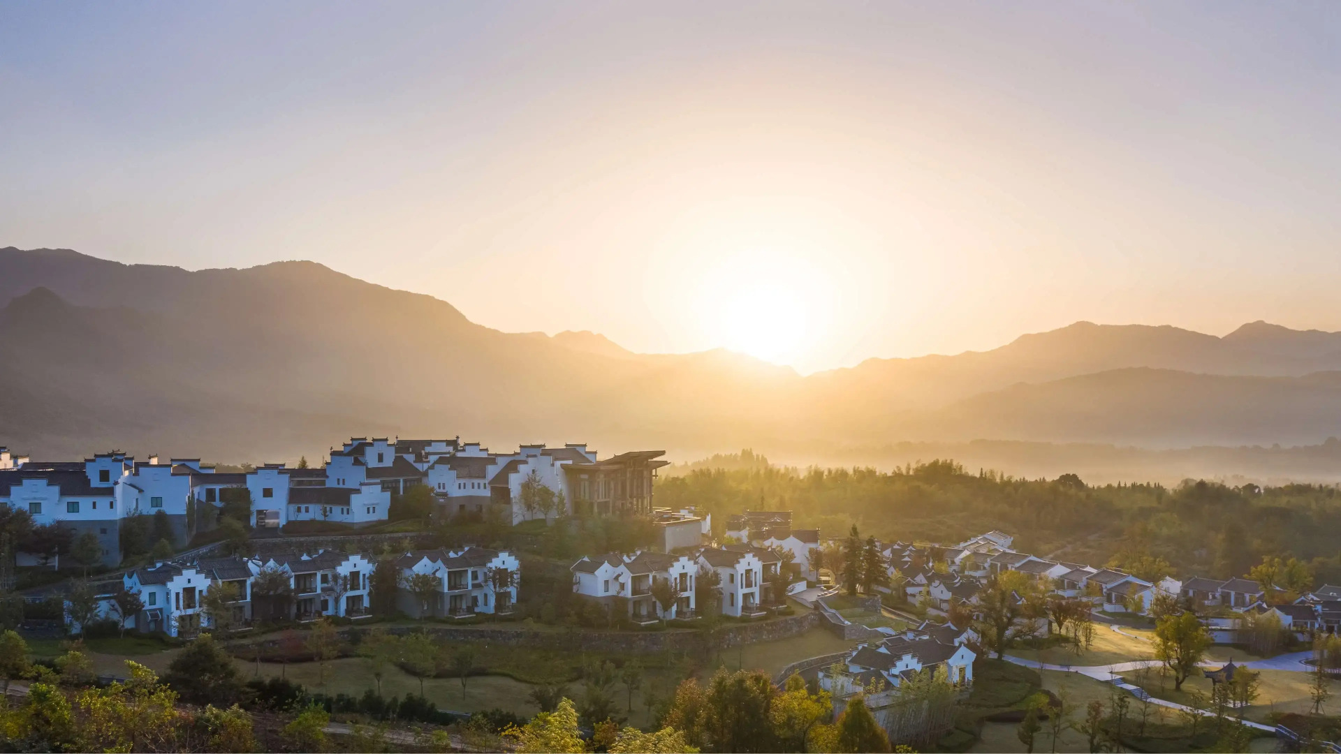 Banyan Tree Huangshan