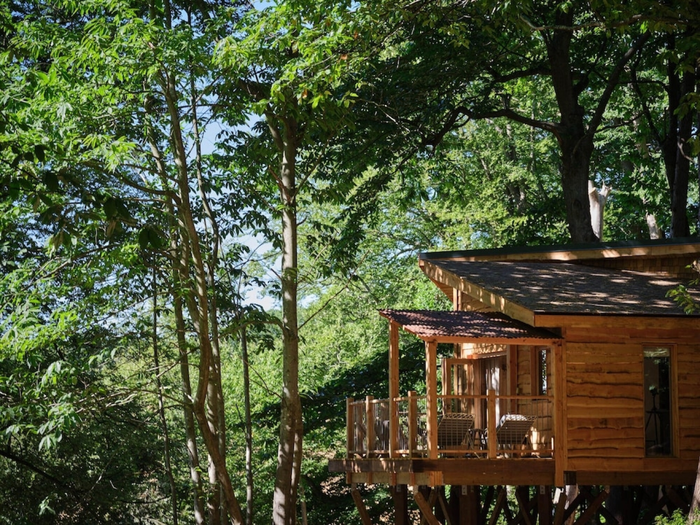 Tree House Retreats