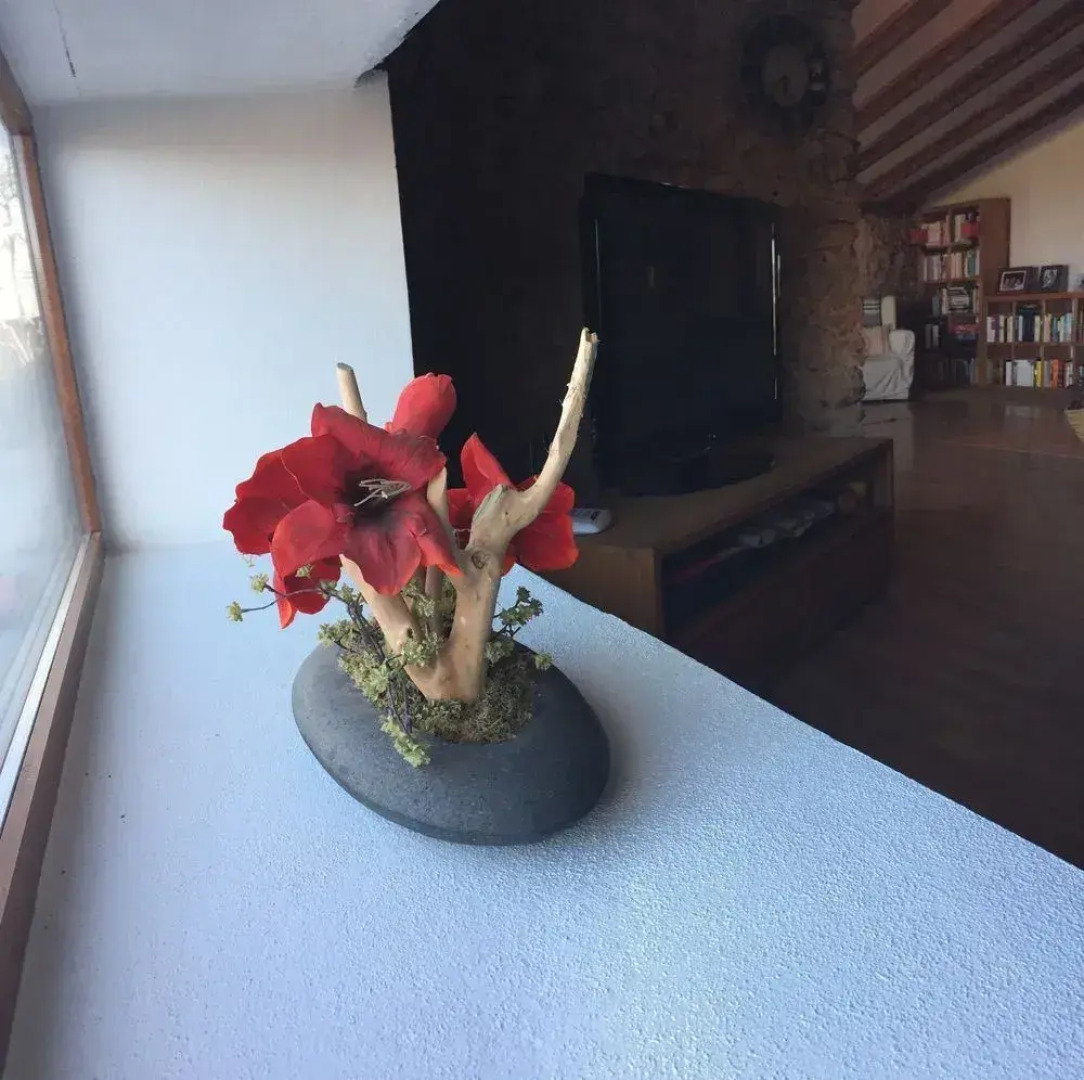 S'Estudi - Son Nebot