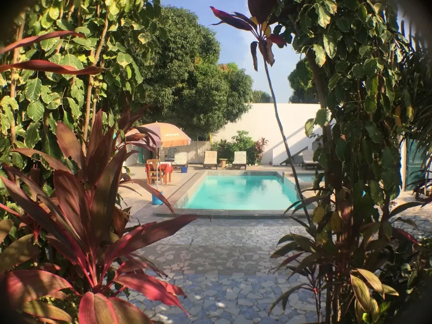 Mango Lodge