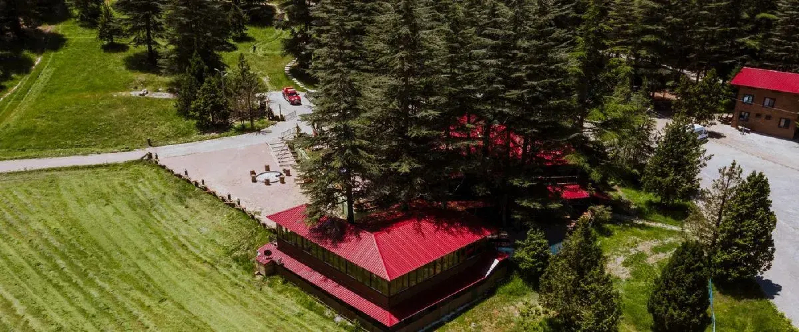 Başkonuş Yaylası Orman Evleri