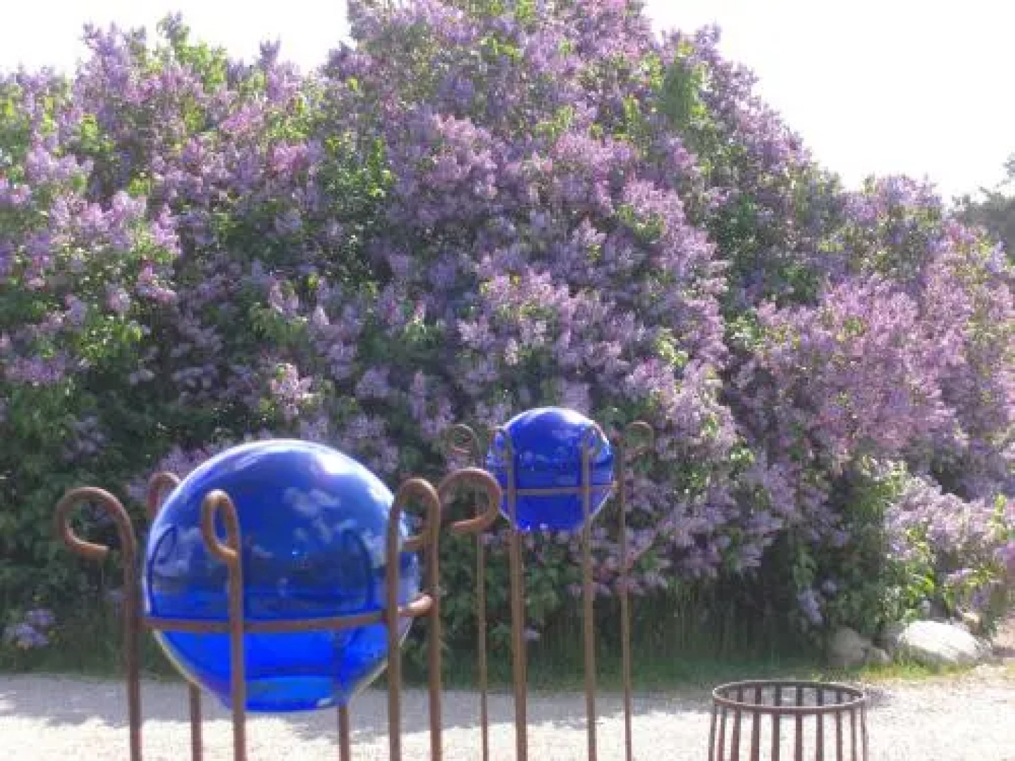 Ängshyddan Gårdshotell & B&B