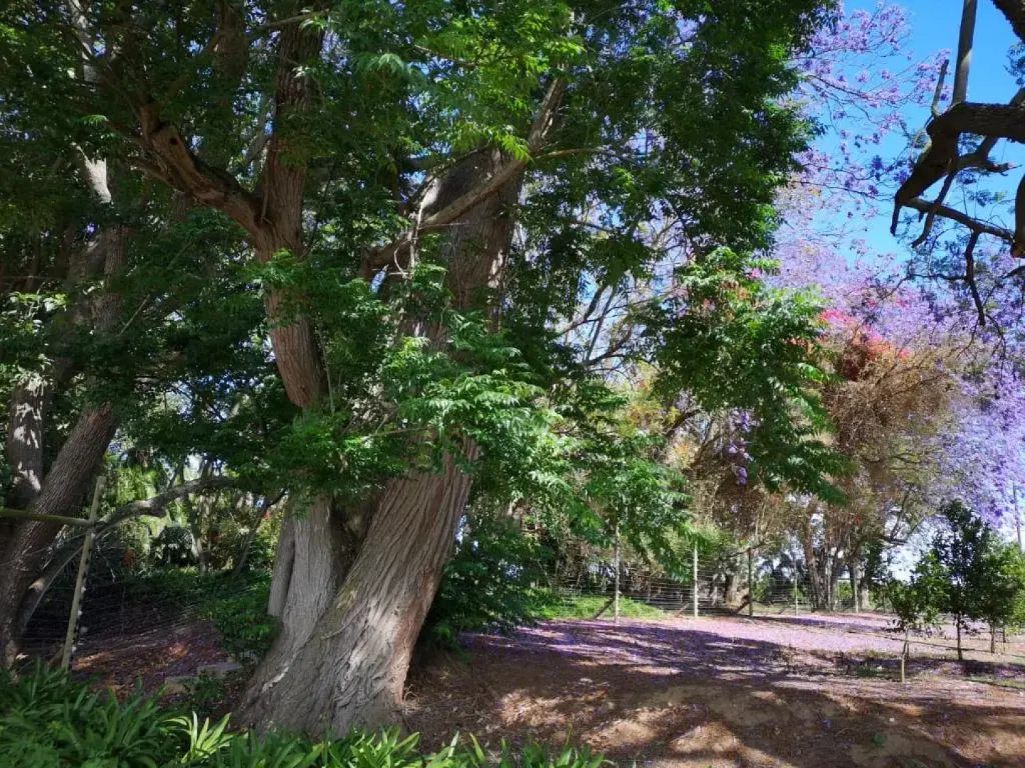 Casa Mia Health Spa and Guesthouse