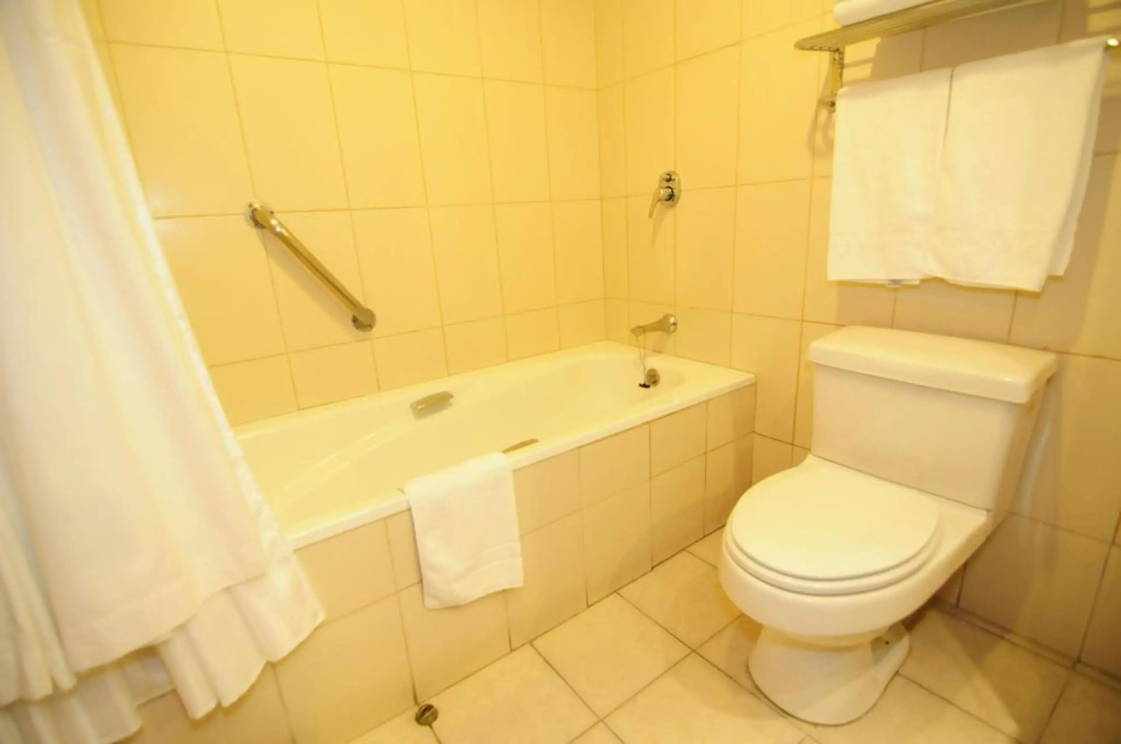 Diego De Almagro Calama