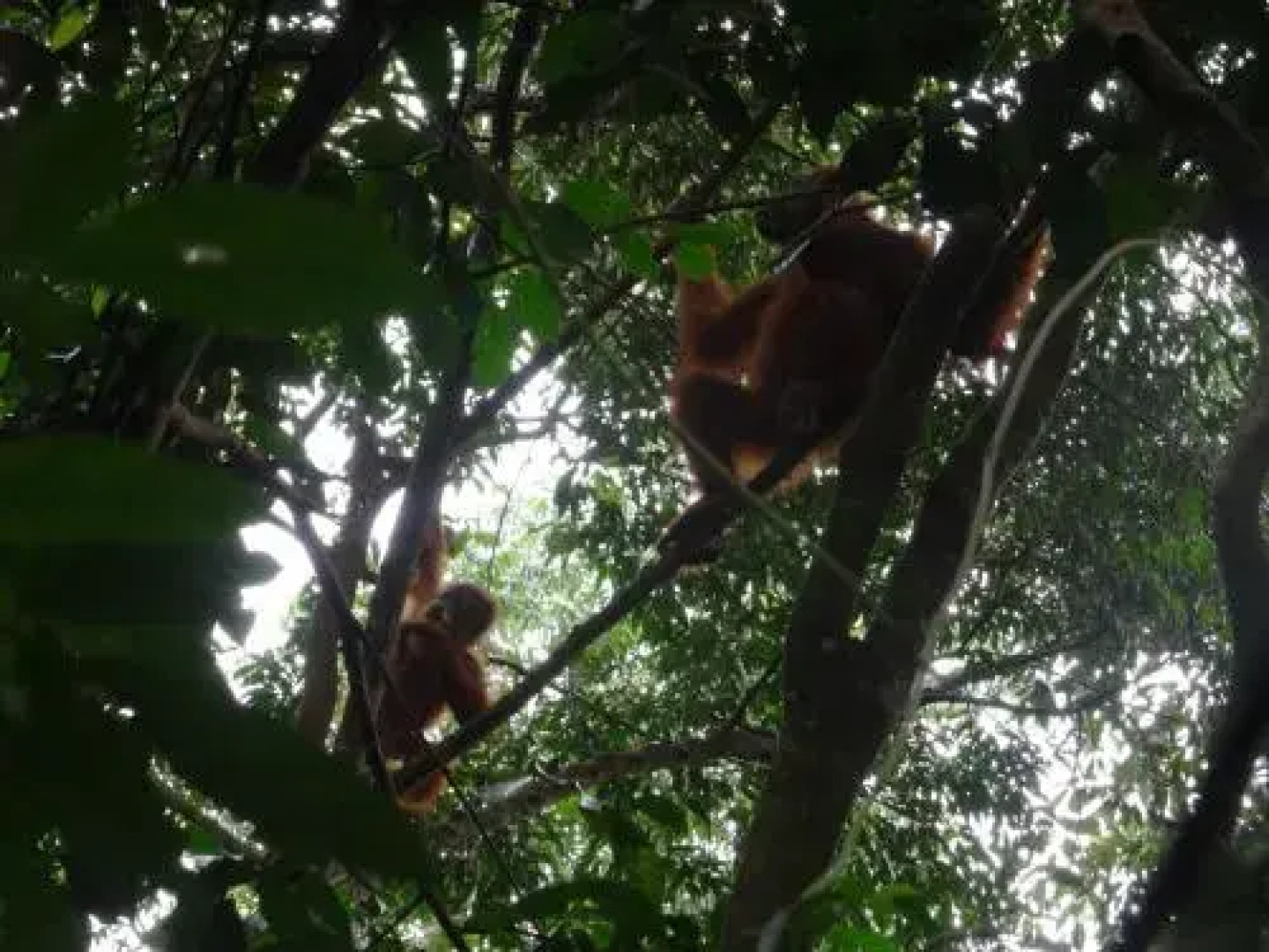 Batu Kapal Guest House