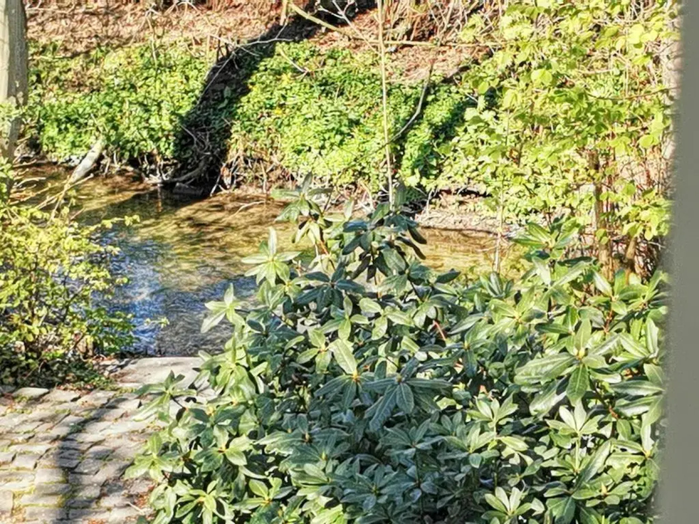 HR Cottage am Honigbach