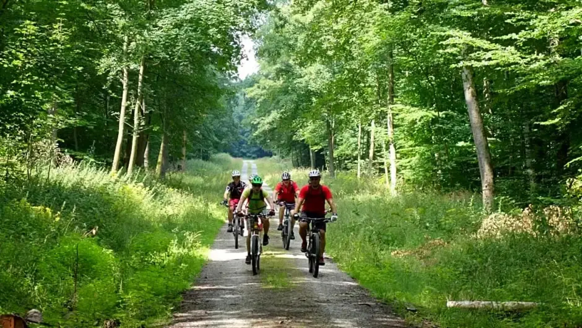 Landgasthaus & Hotel Lindenhof