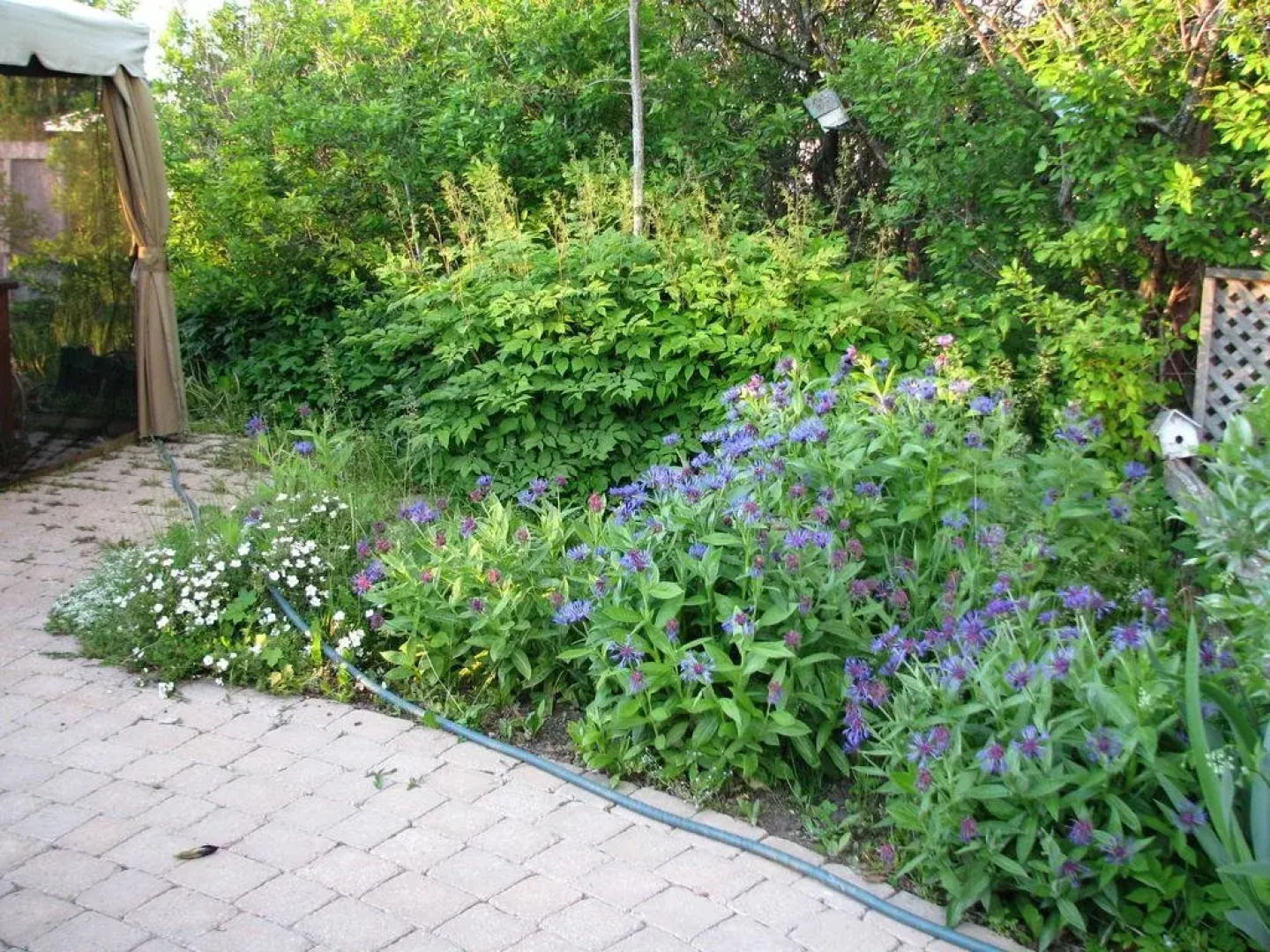 Auberge sur le Fleuve