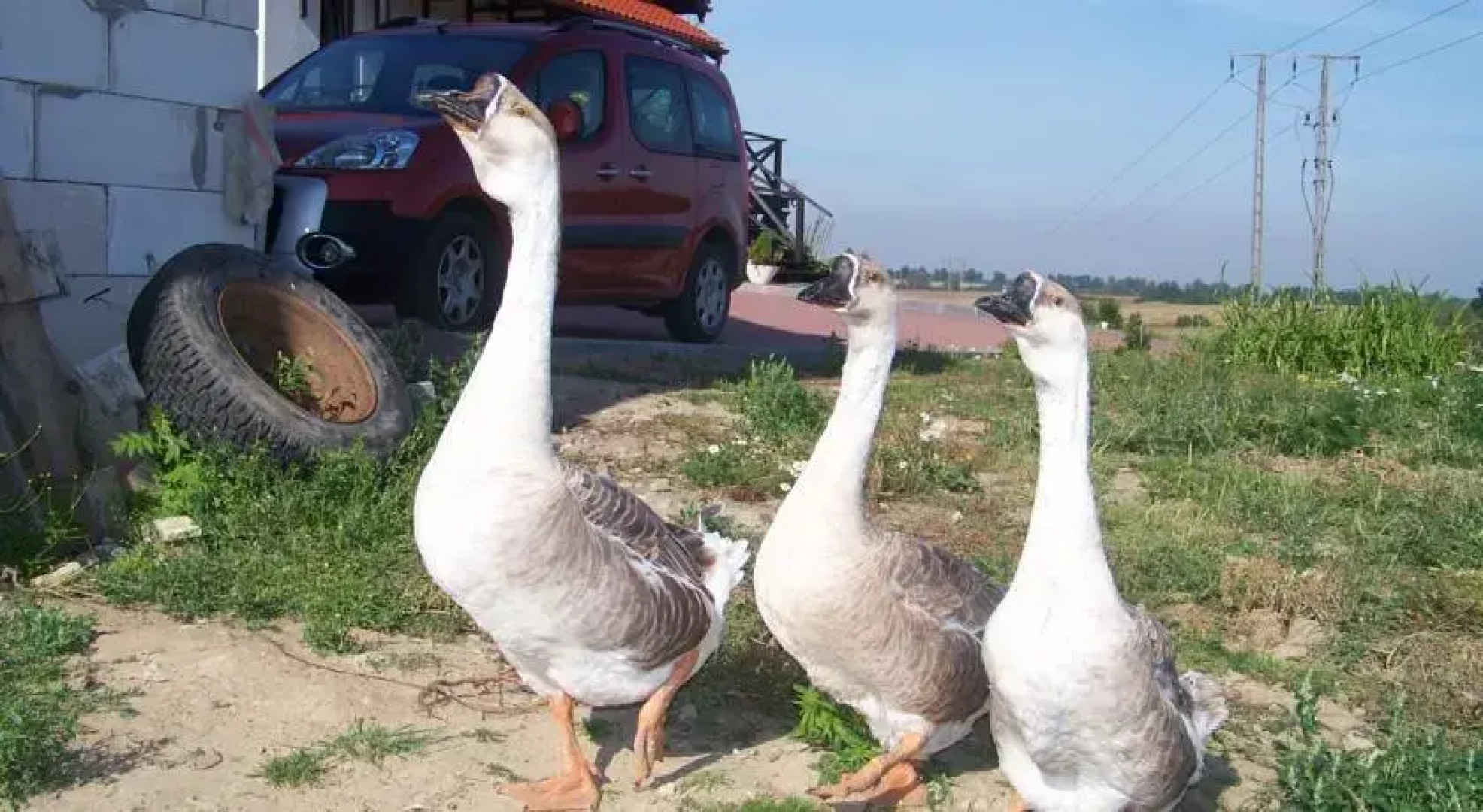 Agroturystyka na Górce