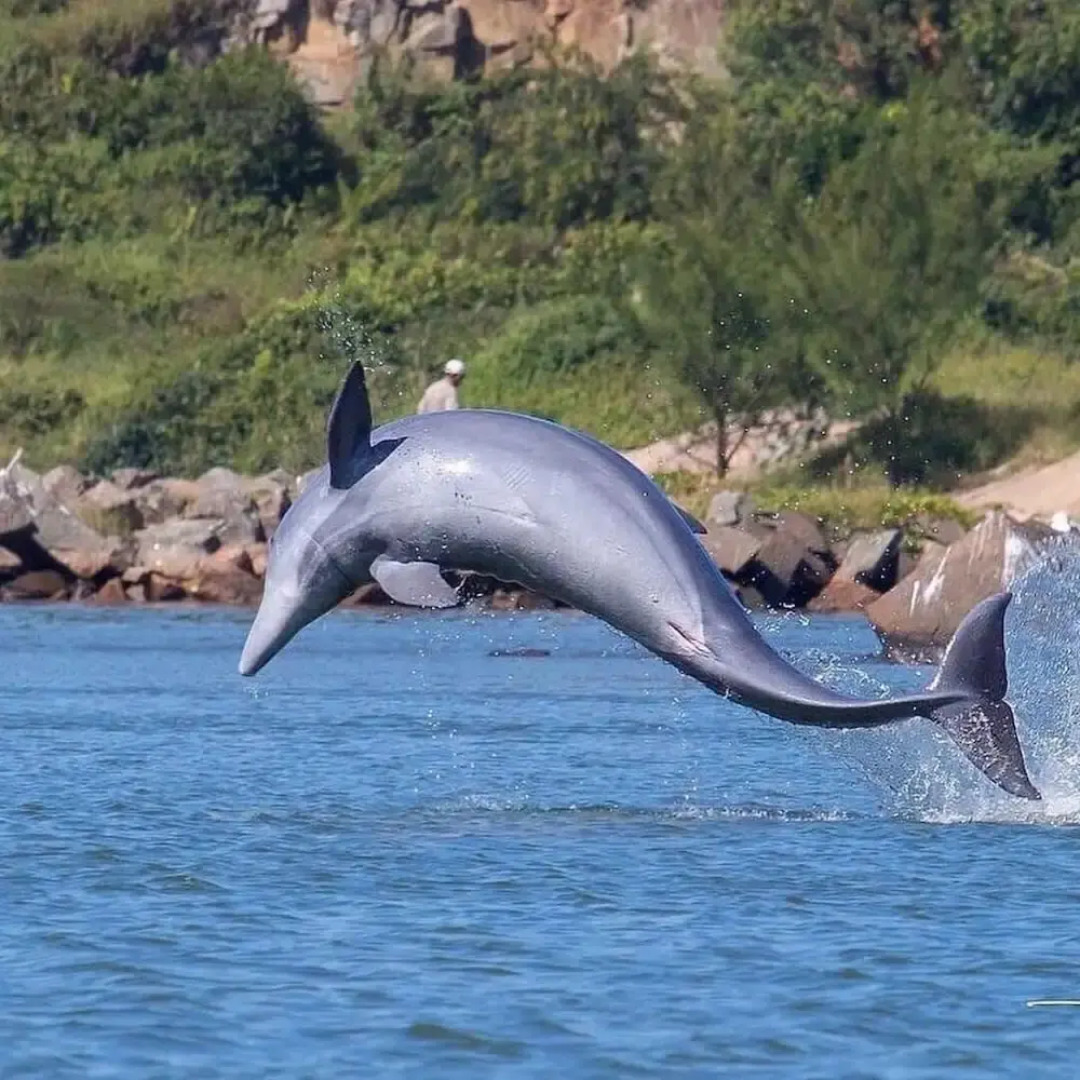 Resid. Clube Mar Grosso-Laguna - LAG605