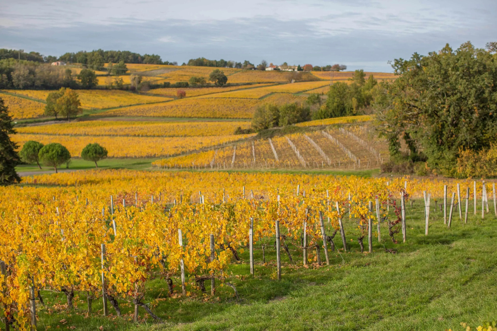 Chateau du Palanquey & SPA