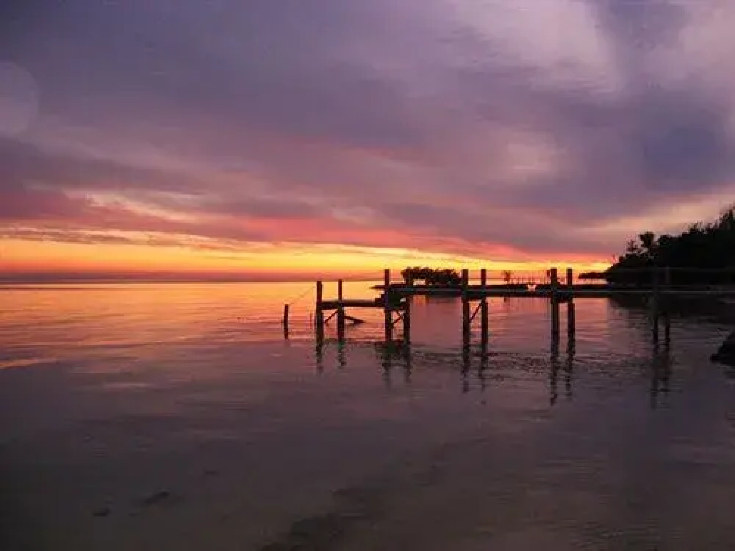 Seashell Beach Resort