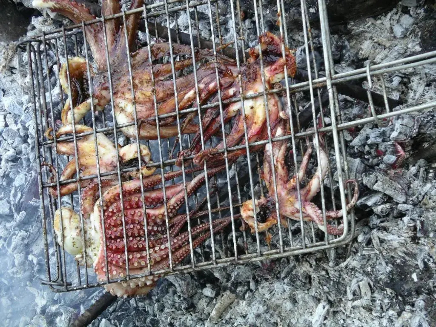 Tiros Apartments Armonia