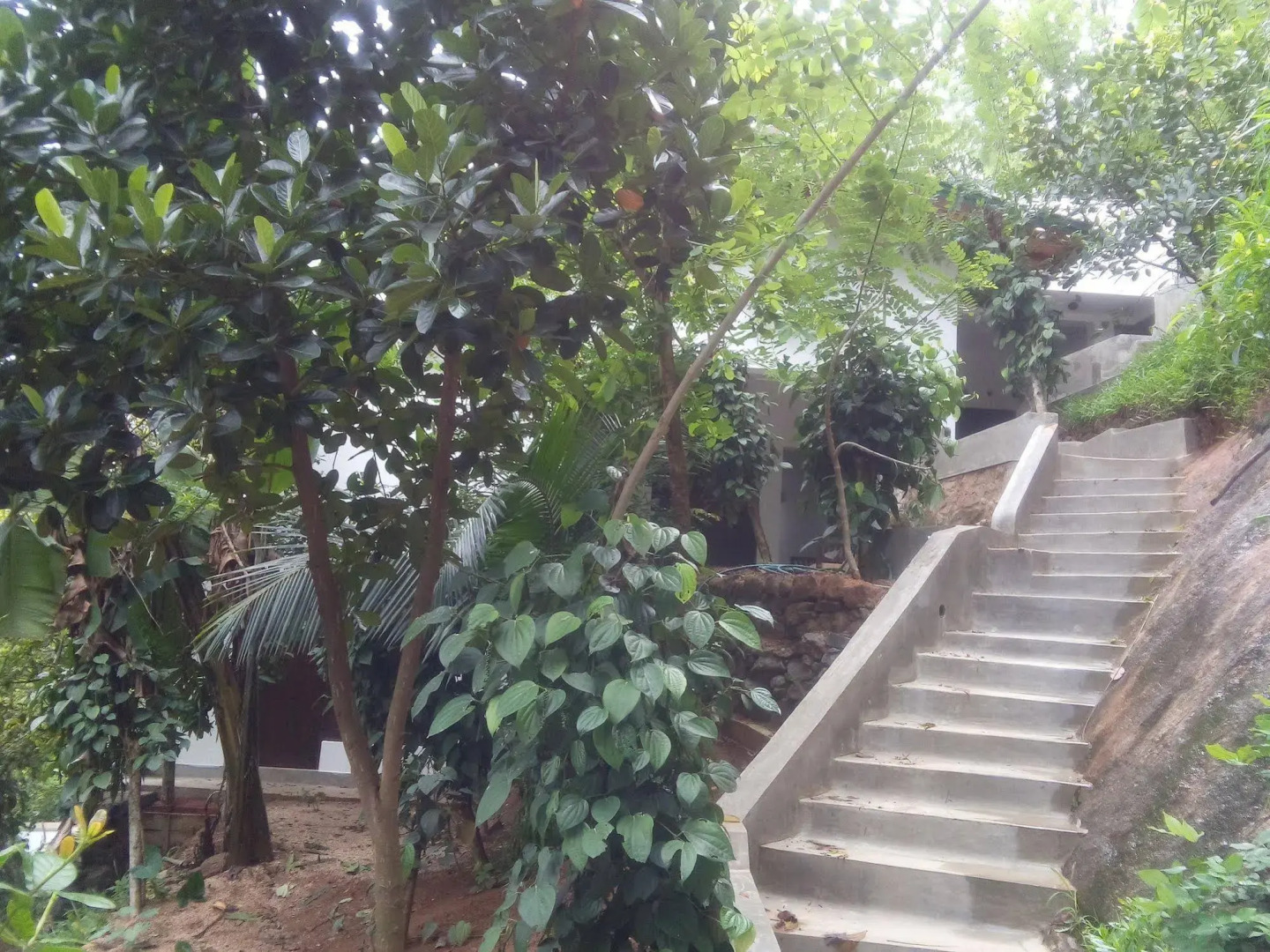 Muduna Walawwa Resort