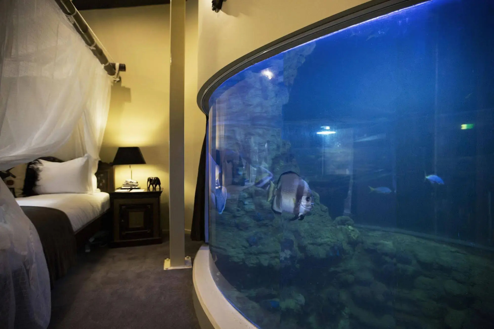 Jamala Wildlife Lodge