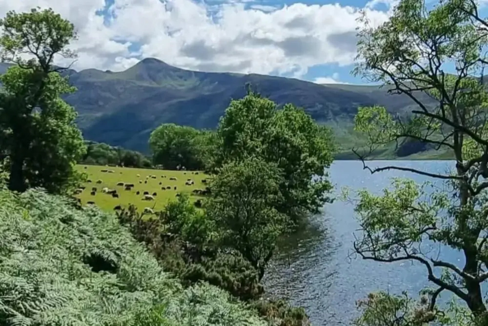 Beautiful 2-bed House in Egremont Milo's Place