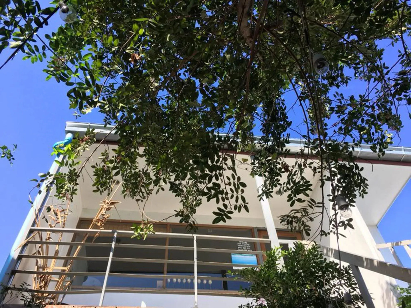 The Goose Cafe & Hostel