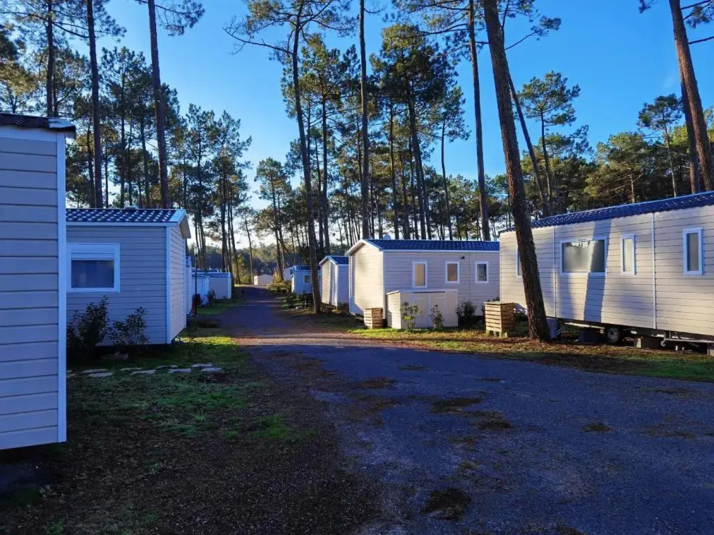 Bungalow de 3 chambres avec piscine partagee jardin amenage et wifi a Saint Julien en Born