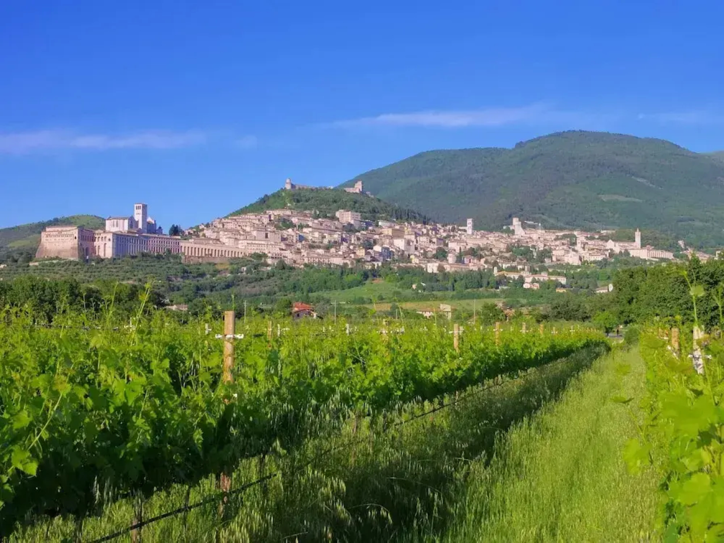Villa in Cannara With Pool Near Assisi