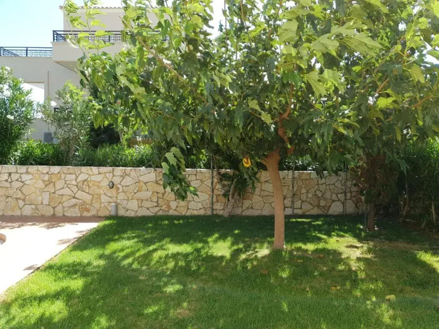 Selini Villas with private pool 10 minutes walking from the beach