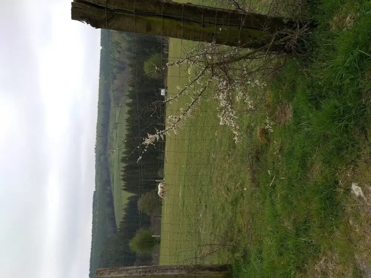 B&B Au Fil Des Saisons Sur La Wiels