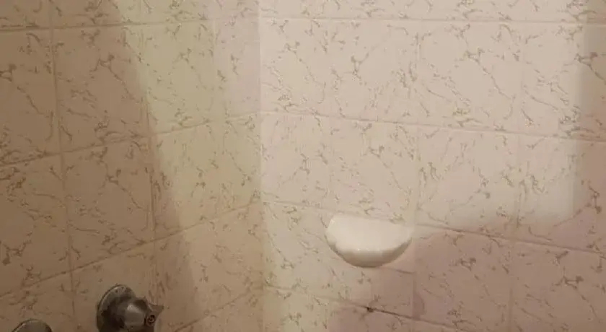 Watagans Forest Motel