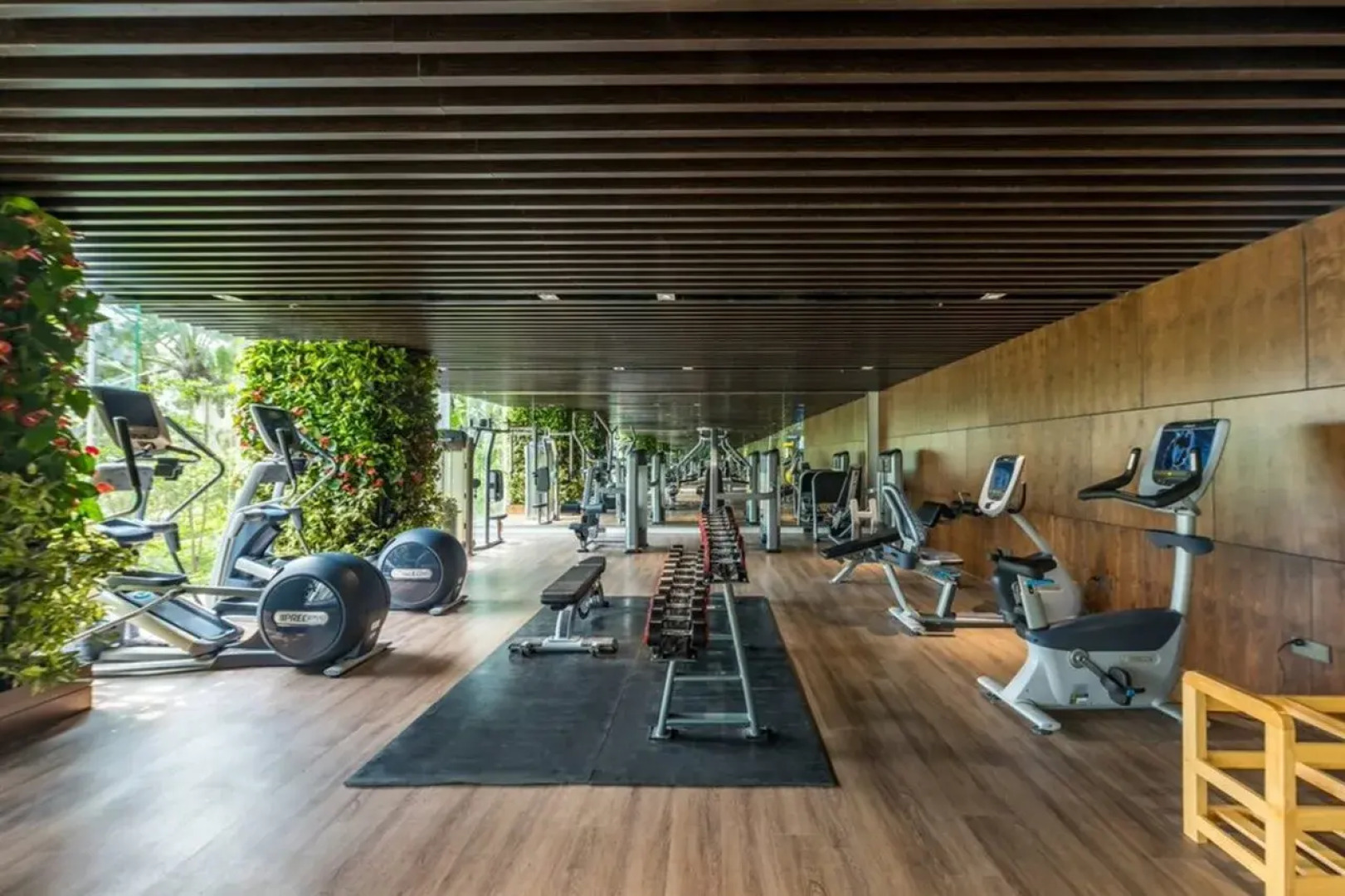 Forest In The Sky - Flamingo Dai Lai