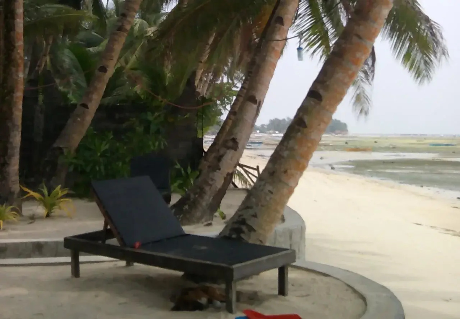 Eddie`s Beach Resort Siargao