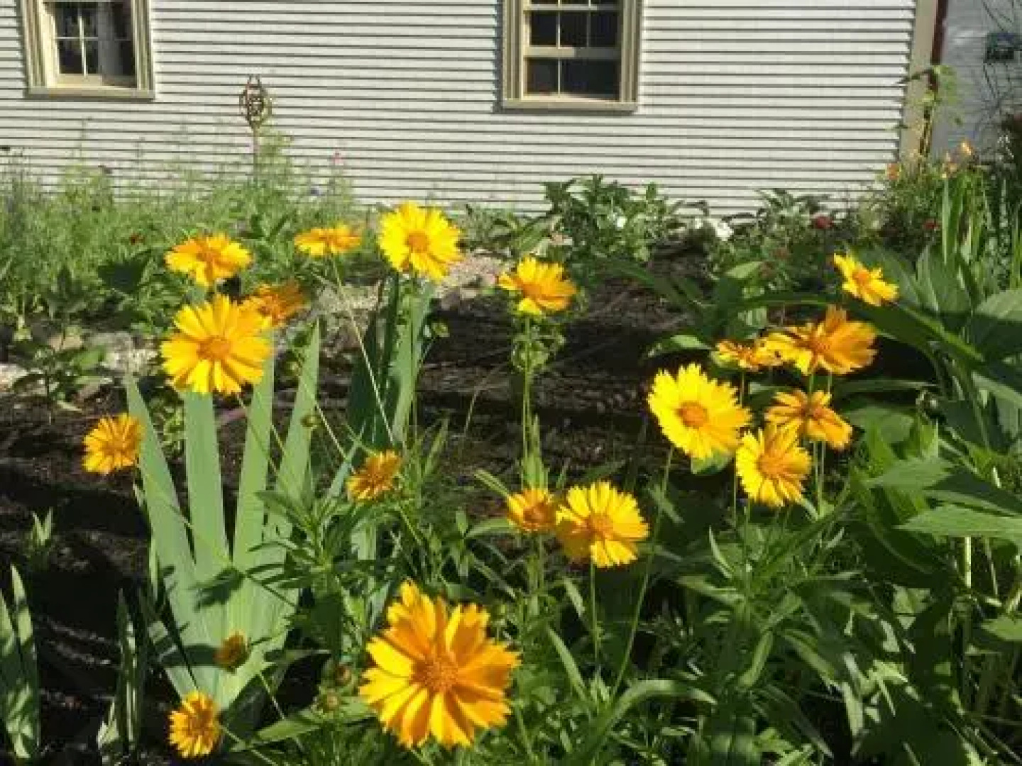 Black Boar Inn Ogunquit