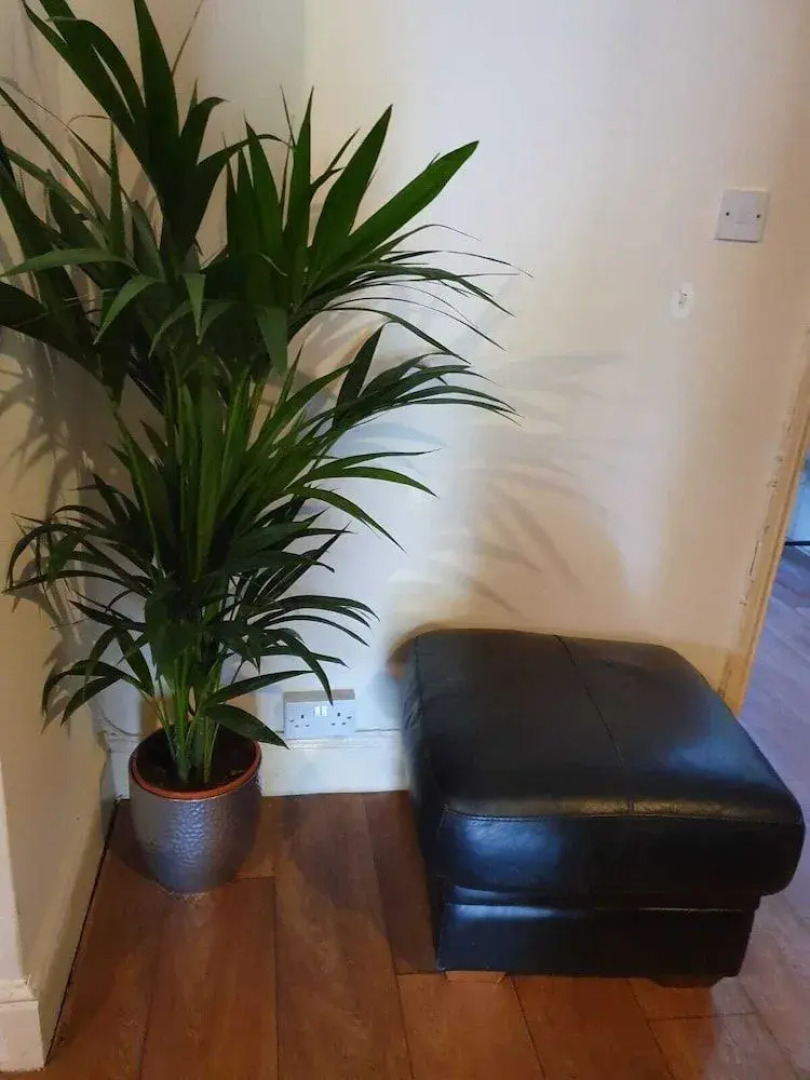 Chaps Guesthouse Southampton