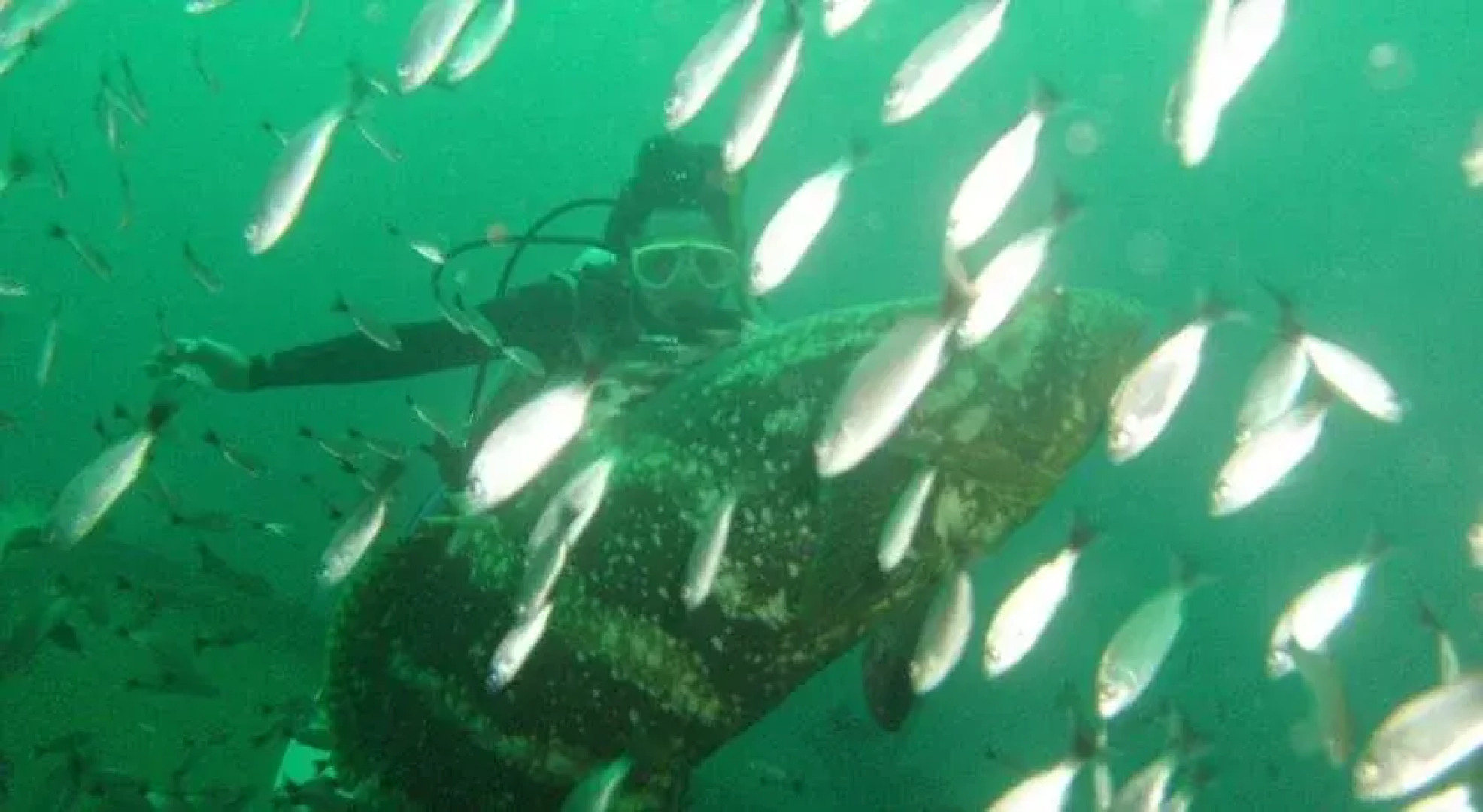 Posada del Mar Bahía Solano