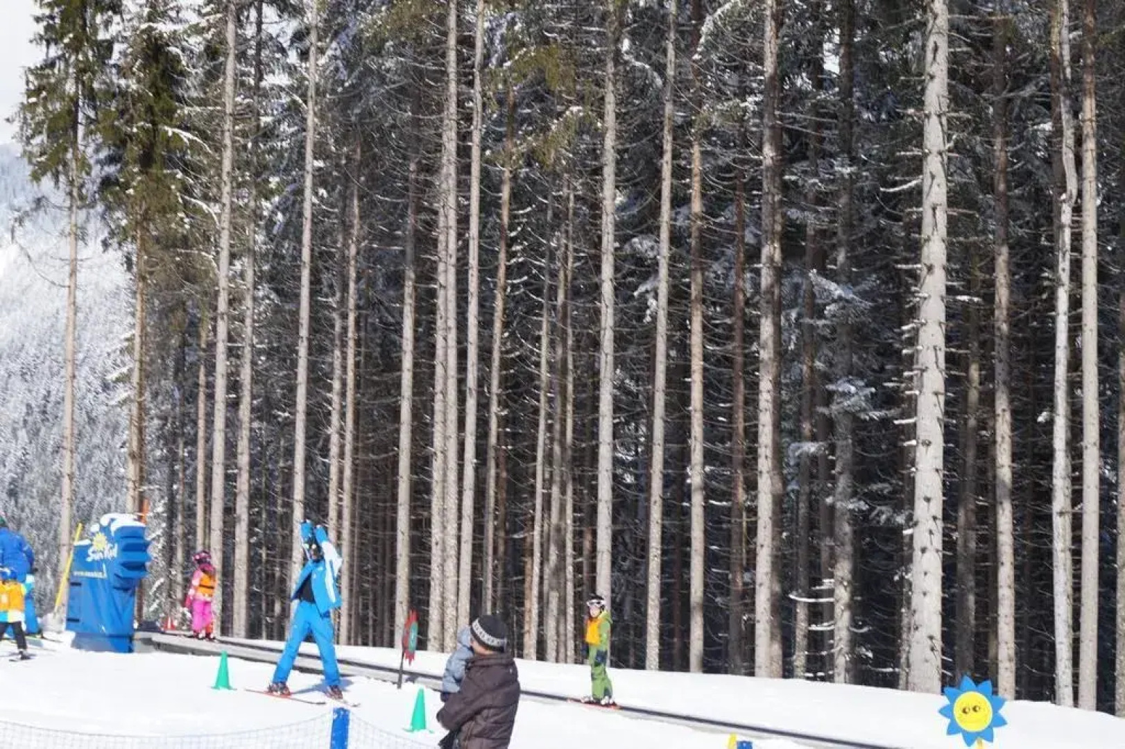 Hotel Wenger Alpenhof