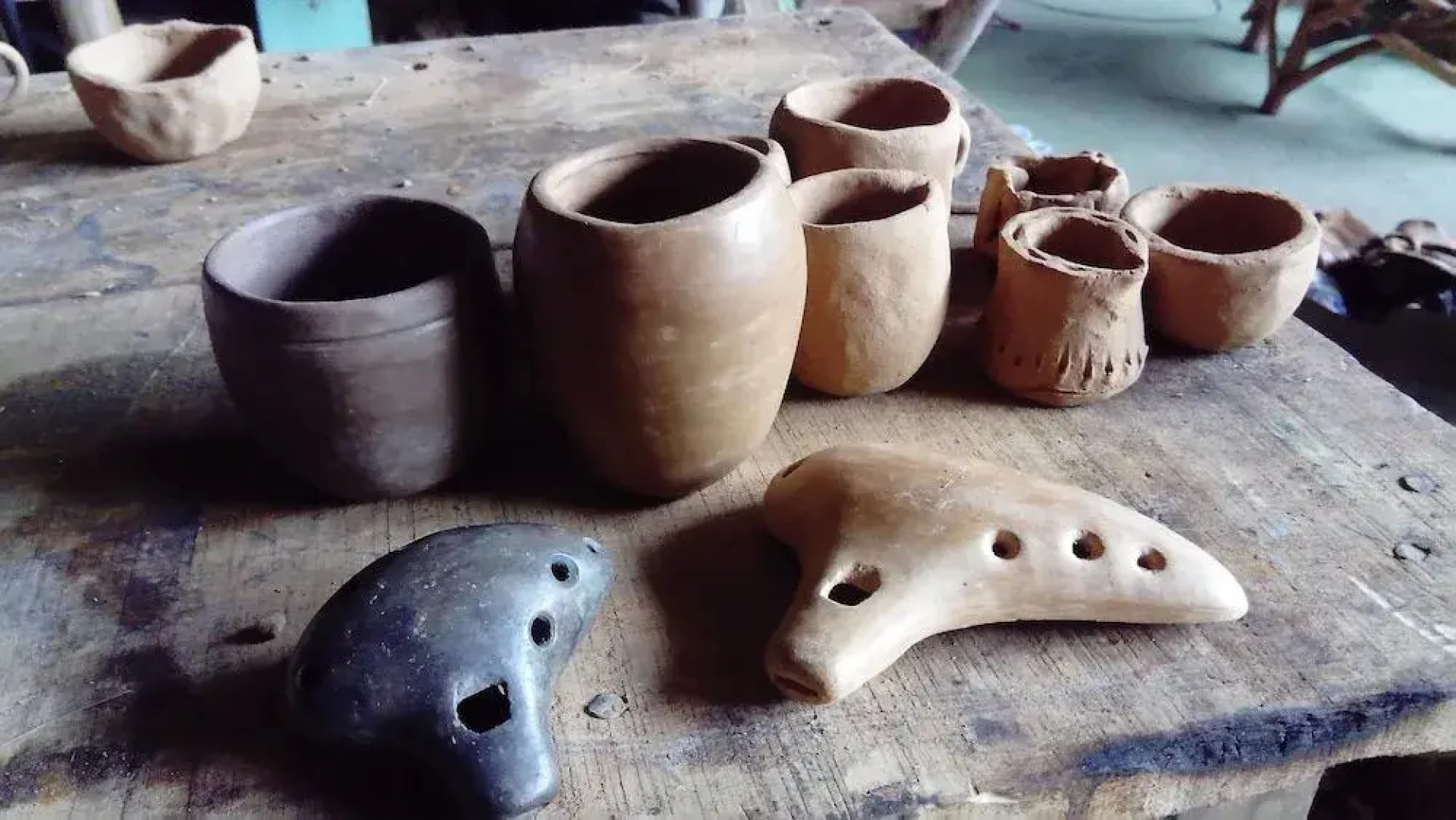 Beta Life Eco Proyecto Hostel