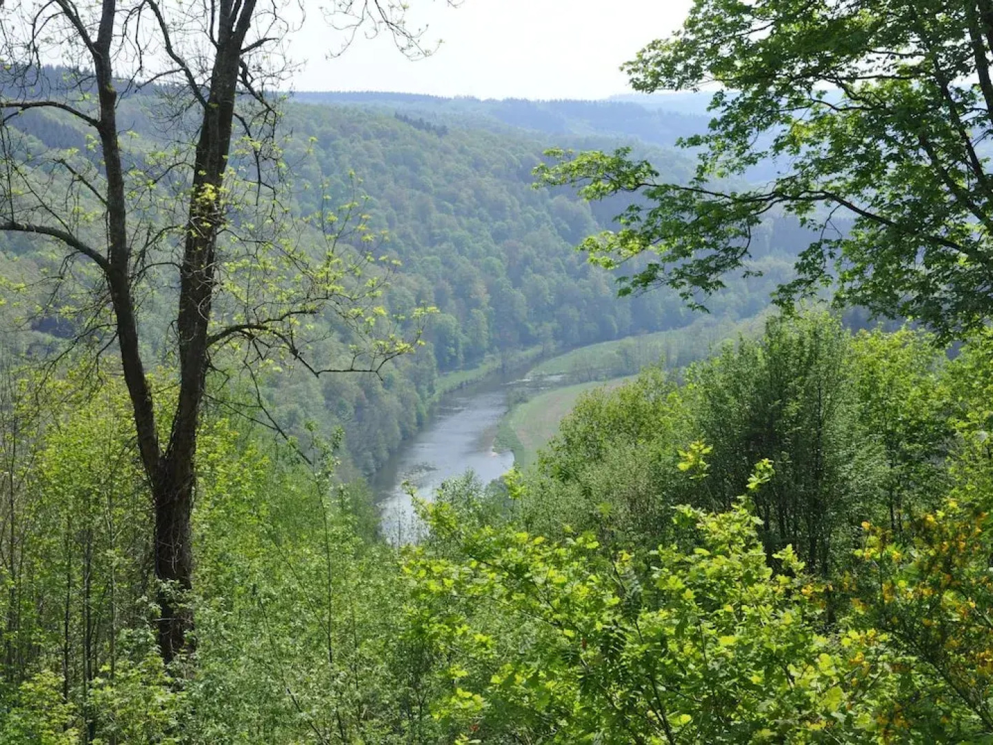 Quaint Cottage in Paliseul With Infrared Sauna