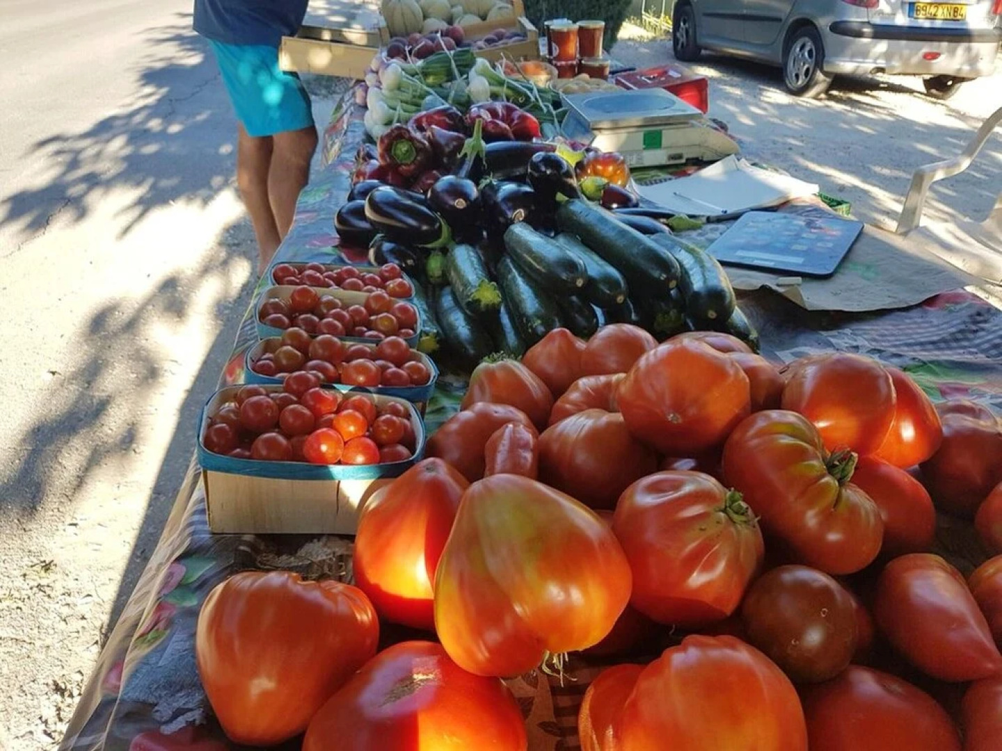 House With 2 Bedrooms in Aubignan, With Shared Pool, Enclosed Garden and Wifi - 120 km From the Beach