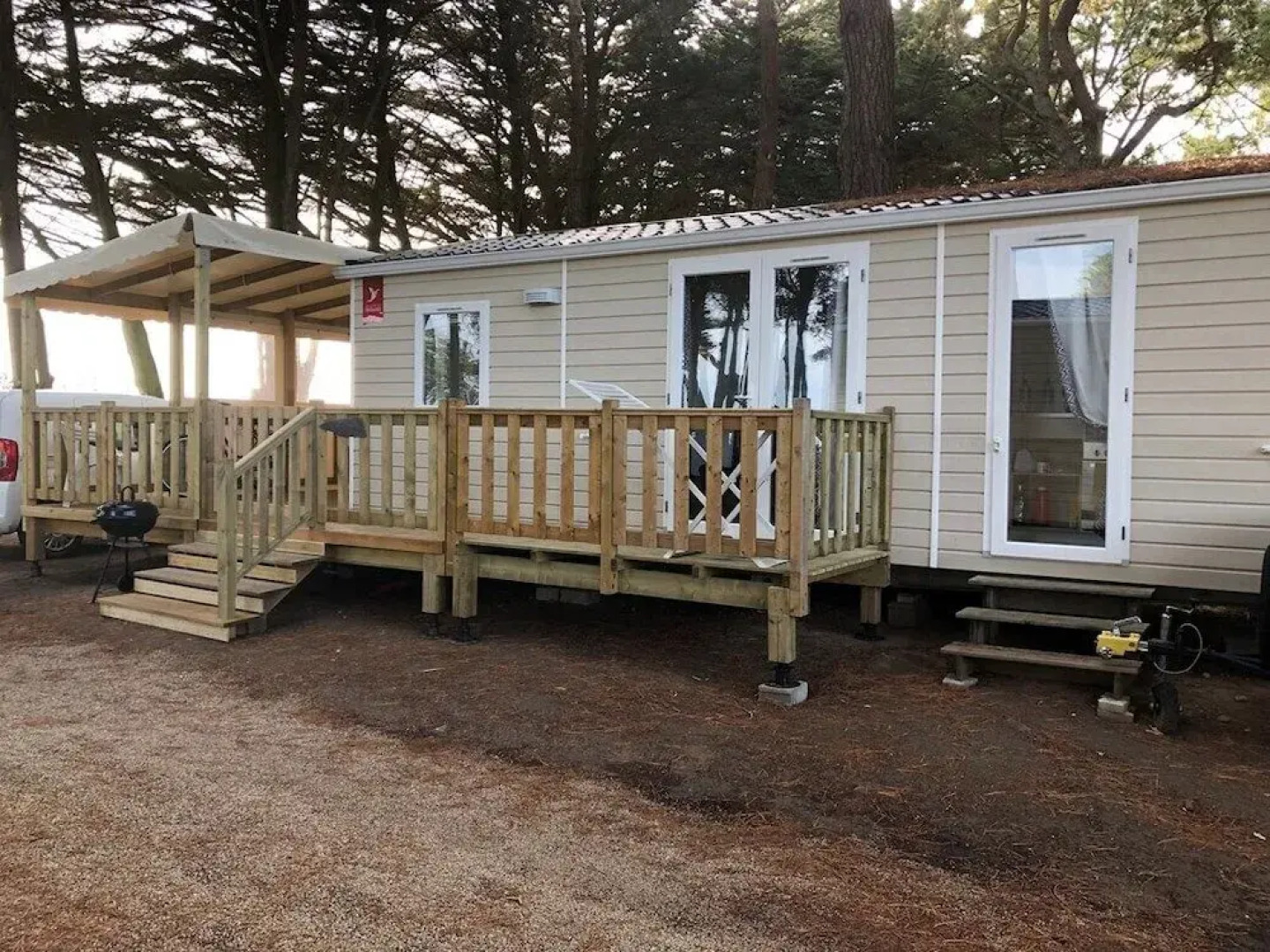 Becassine des Marais