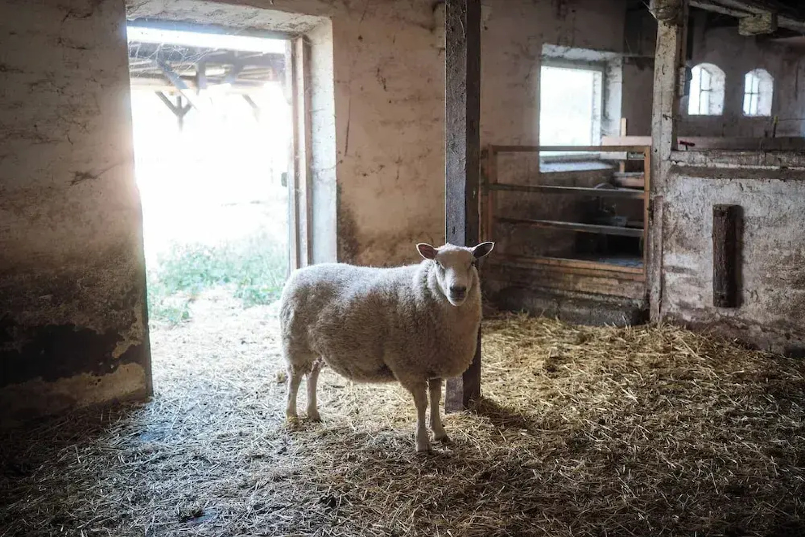 Askegaarden Apartments