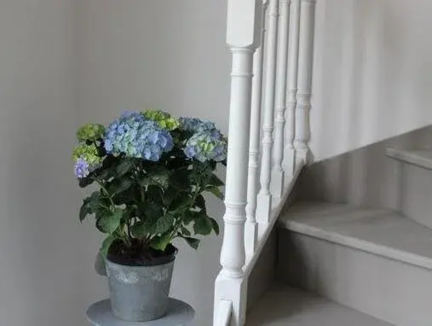 Le Presbytère de Sévigny