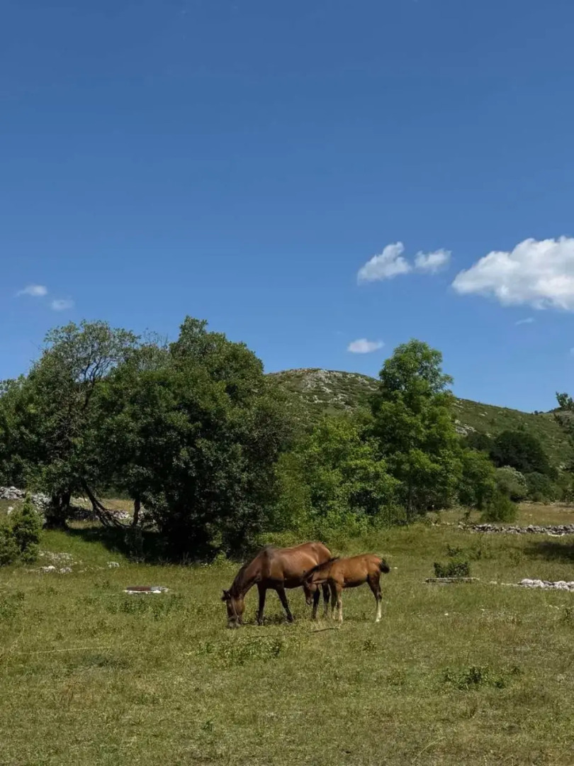 Guest House Etno Village Milogora
