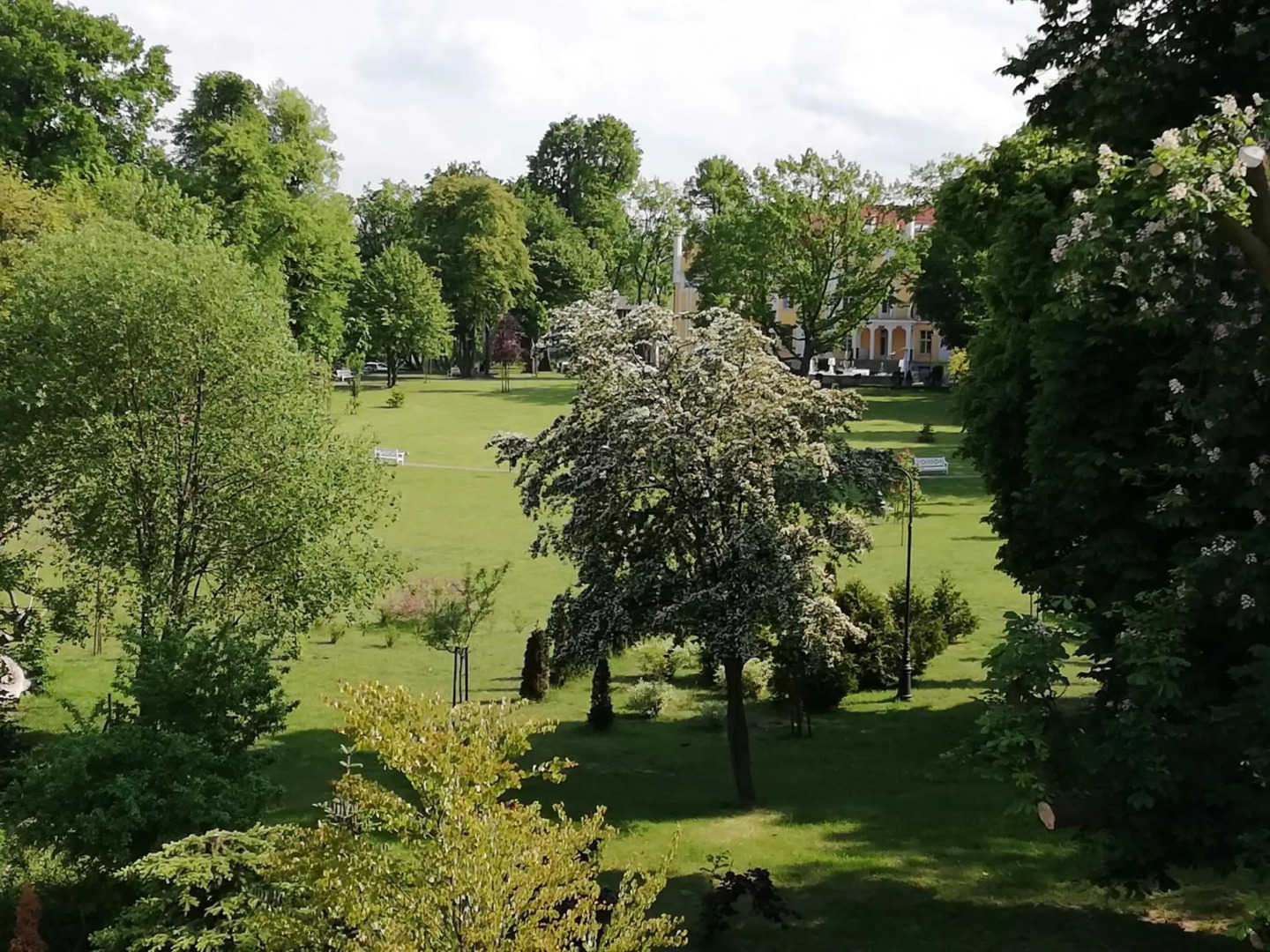 Gdynia Orlowo Honey Apartment