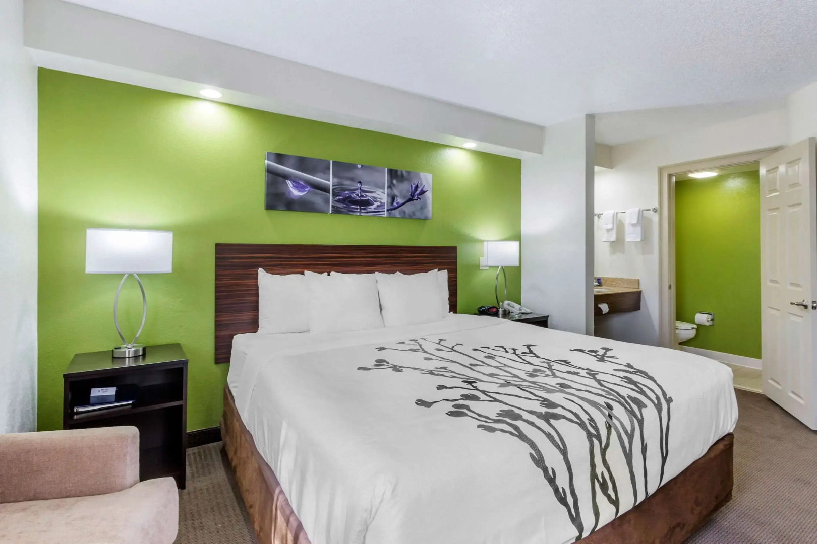 Sleep Inn near Busch Gardens/USF