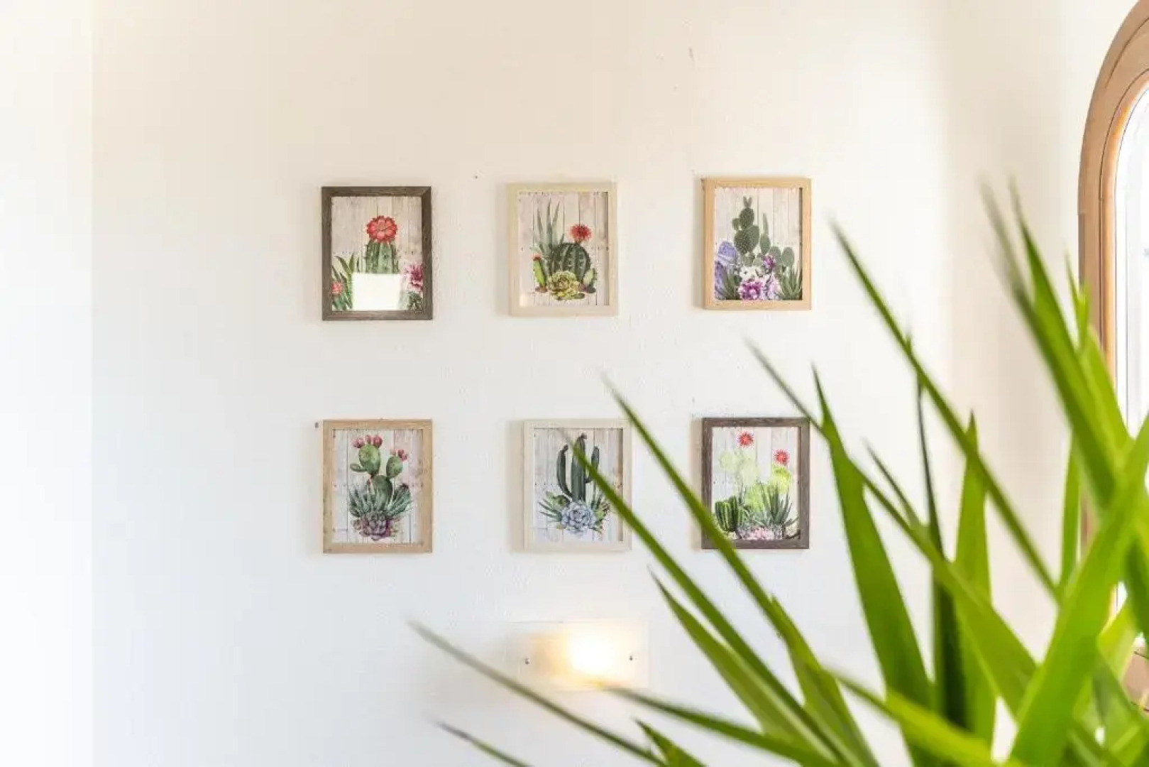 Welcomely - Dei Mille - La vigna 3