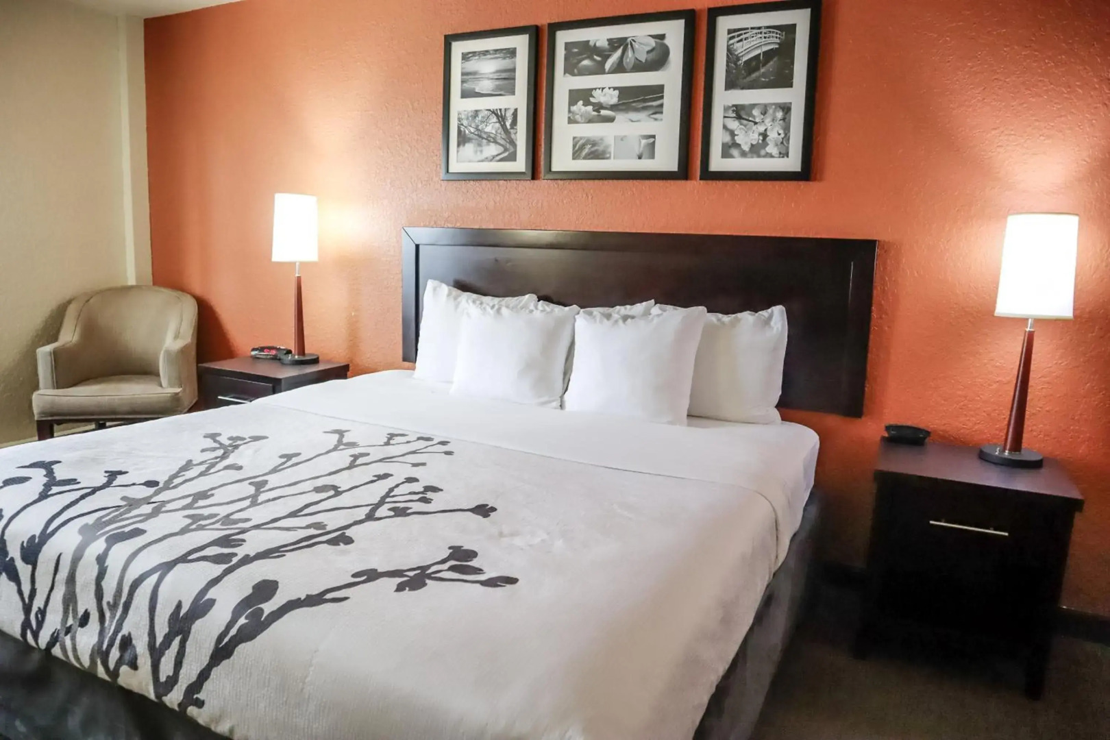 Sleep Inn and Suites - Ocala / Belleview