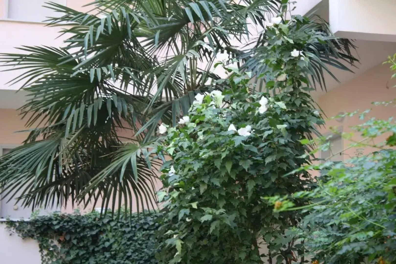 Orcin Apart Hotel