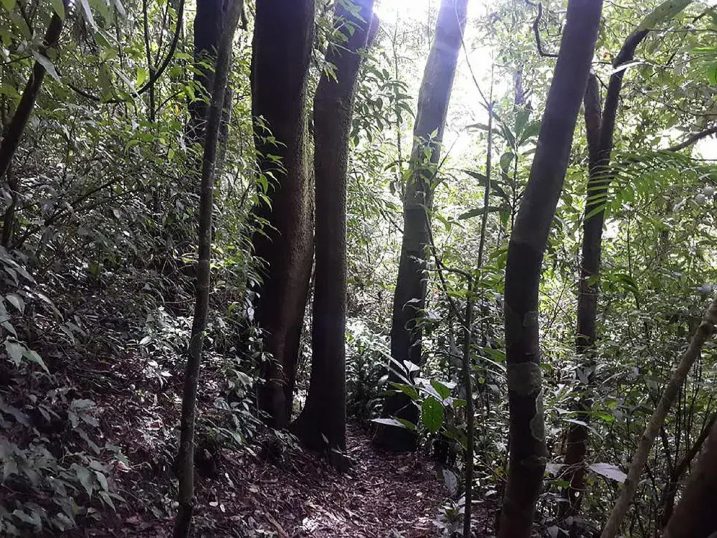 Villas Cipreses - Hostel