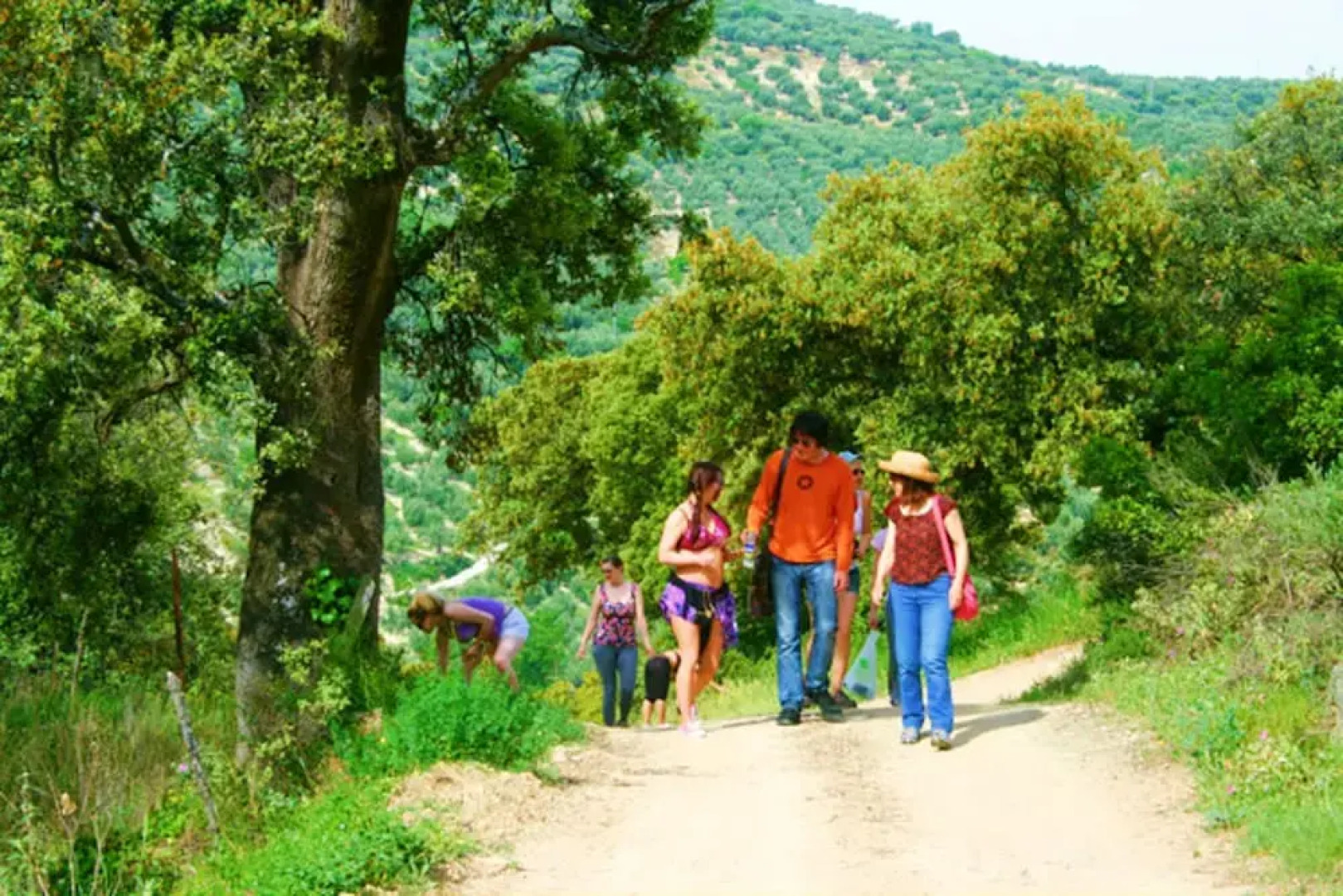 Studio in Jaén, With Wonderful Mountain View, Pool Access, Furnished G